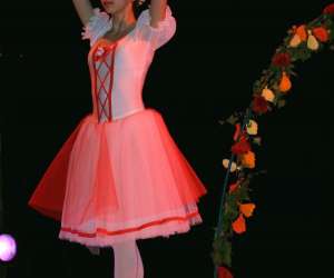 Ecole De Danse Elan Ecole De Danse Elan