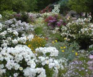 Jardin Aux Plantes Parfumees La Bouichere