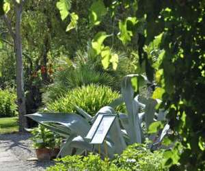 photo Jardin aux plantes parfumees la bouichere Limoux 9980