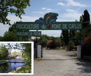 Pisciculture Du Pont De Caylus