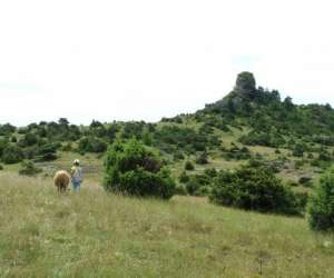 photo Domaine de servieres Le Caylar 8192