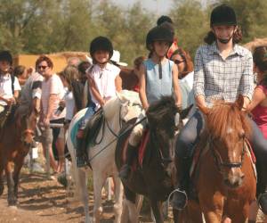 Sete Equitation Passion