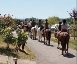 Centre Equestre De Thionville Cattenom