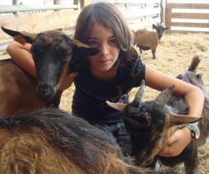 photo La ferme de woimbey - les animations educatives Woimbey 2580