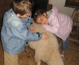 photo La ferme de woimbey - les animations educatives Woimbey 2583