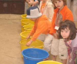 photo La ferme de woimbey - les animations educatives Woimbey 2585