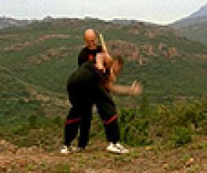 photo Wing chun kung fu nancy Saulxures Les Nancy 2347