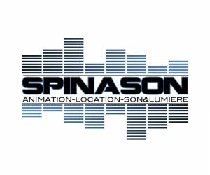 Spinason