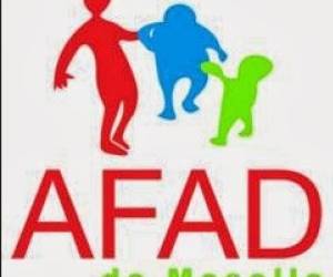 Aide Familiale  Domicile De Moselle (afad)