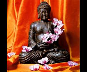 photo Reiki - yoga - relaxation - association subtil' Laxou 2823