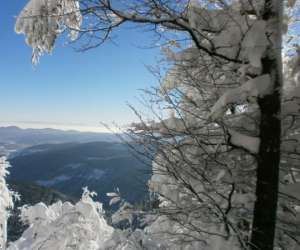 photo Ma hotte ; randonne dans les vosges La Bresse 4814