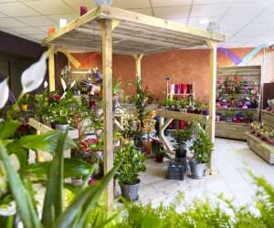 Vente De Fleurs, Plantes Et Accessoires