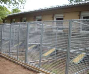 photo Pension f�line chatbada et compagnie Senones 3335