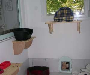 photo Pension f�line chatbada et compagnie Senones 3336