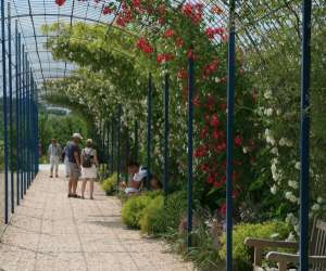 photo Jardins fruitiers de laquenexy Laquenexy 4308