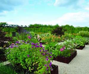 photo Jardins fruitiers de laquenexy Laquenexy 4309
