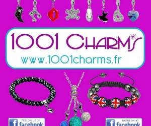 photo 1001 charms Marange Silvange 4695