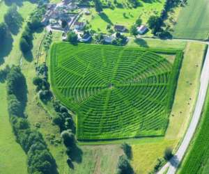 Labyrinthe De Mas De Montmdy