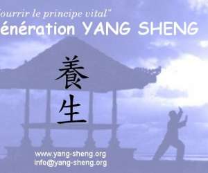 Generation Yang Sheng