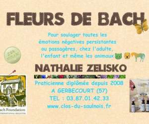 Conseiilre En Fleurs De Bach