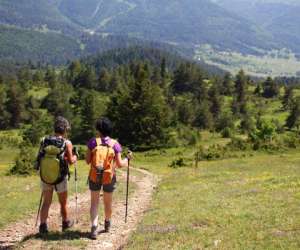 photo  slne lacorde   -  praticienne de sant naturelle Commercy 5508