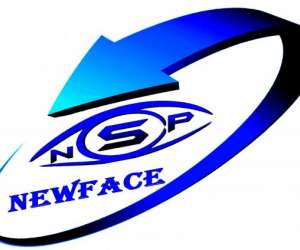 Newface Securite Privee Nsp Sas