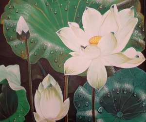 photo White lotus Remiremont 5852