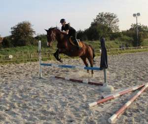 photo Scea dream ranch Verneville 6102