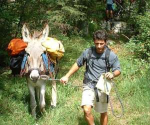 La Compagnie Des Anes