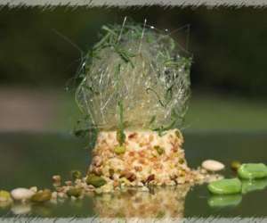 photo A la 12�me borne Delme 4491